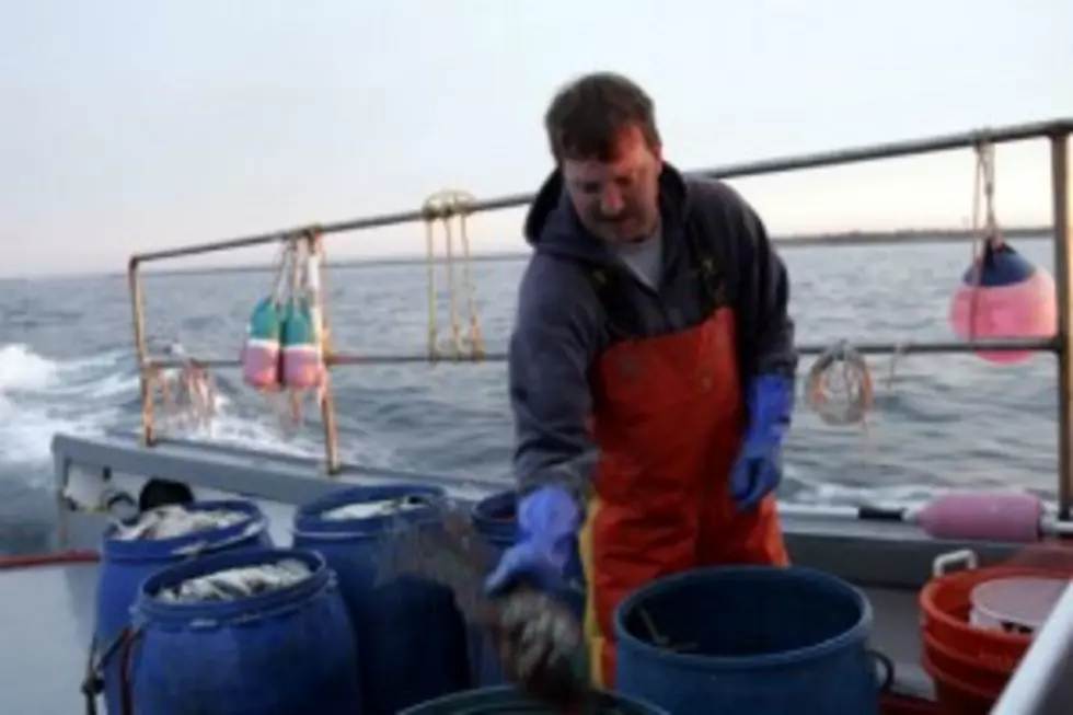 Casting Call For Maine Lobstermen For Proposed Reality TV Show