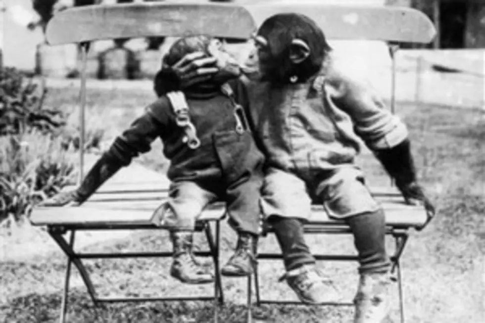Chimp J. Fred Muggs Joins the Today Show in this Day in 1953
