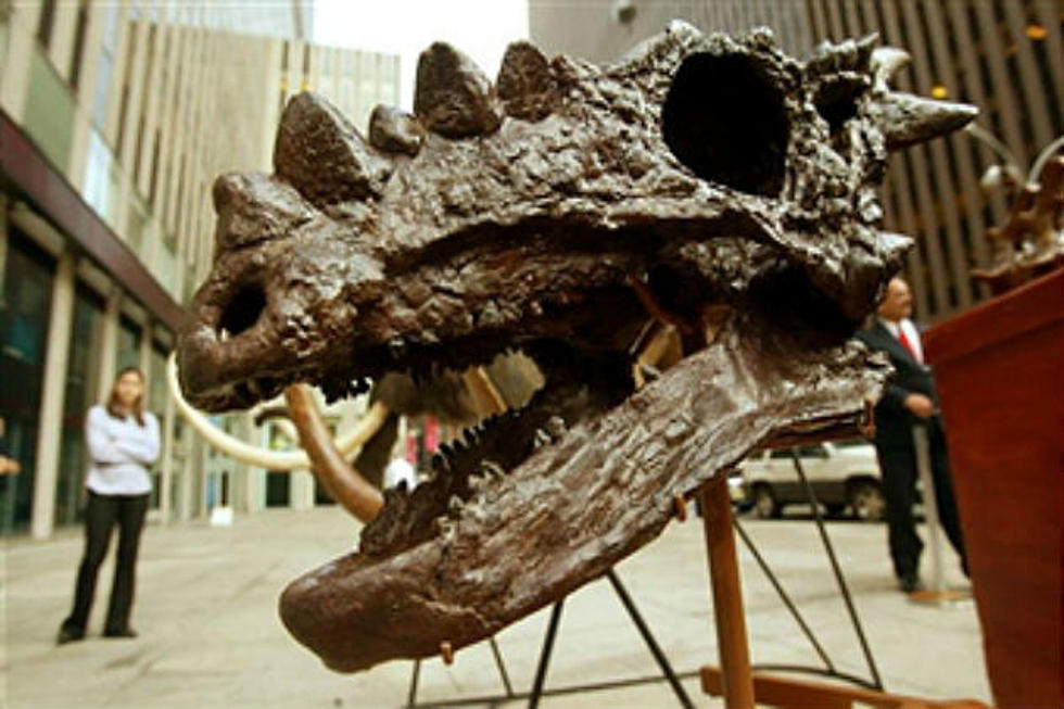 Bachelor Party Discovers Dinosaur Skull