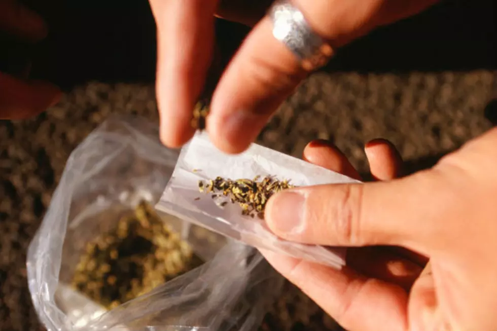 Question Of The Day: Would You Vote For or Against Legalizing Marijuana In Your Town?