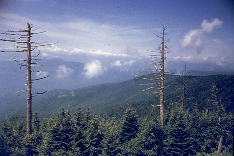 Scott Jurek Sets New World Record Hiking Appalachian Trail