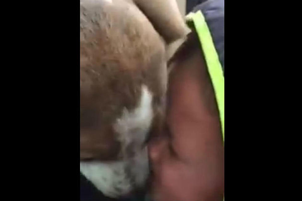 Boy Reunites With Lost Dog [VIDEO]