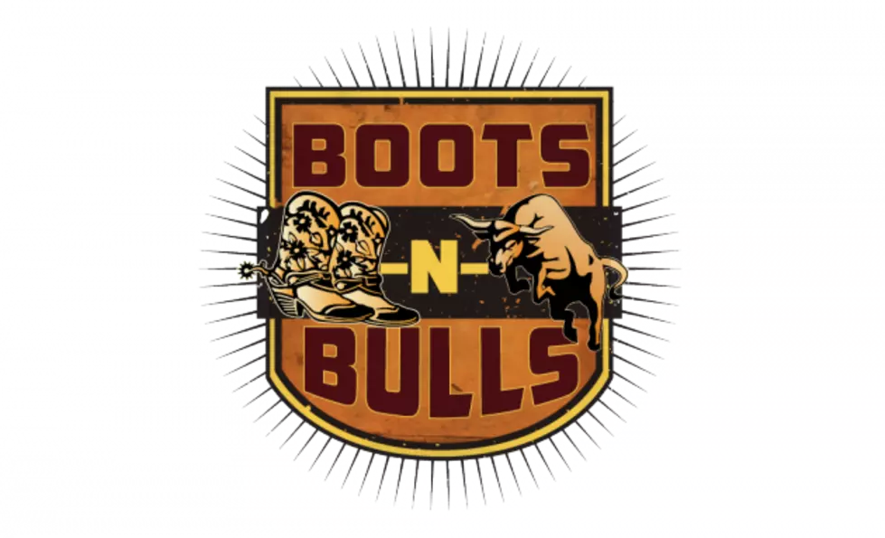 Who Would You Like To See In Concert At The 2017 Boots N Bulls Rodeo?