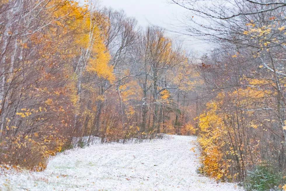 First Snowfall Of The Year Hits Northern Maine. Are You Ready For it?