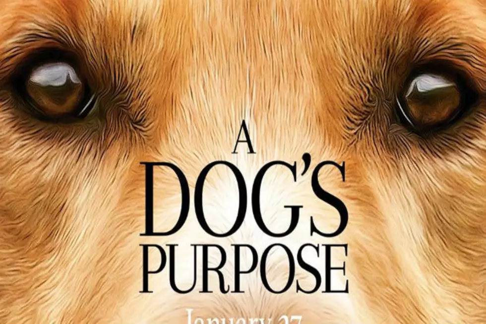 Will This Keep You From Seeing ‘A Dog’s Purpose’?