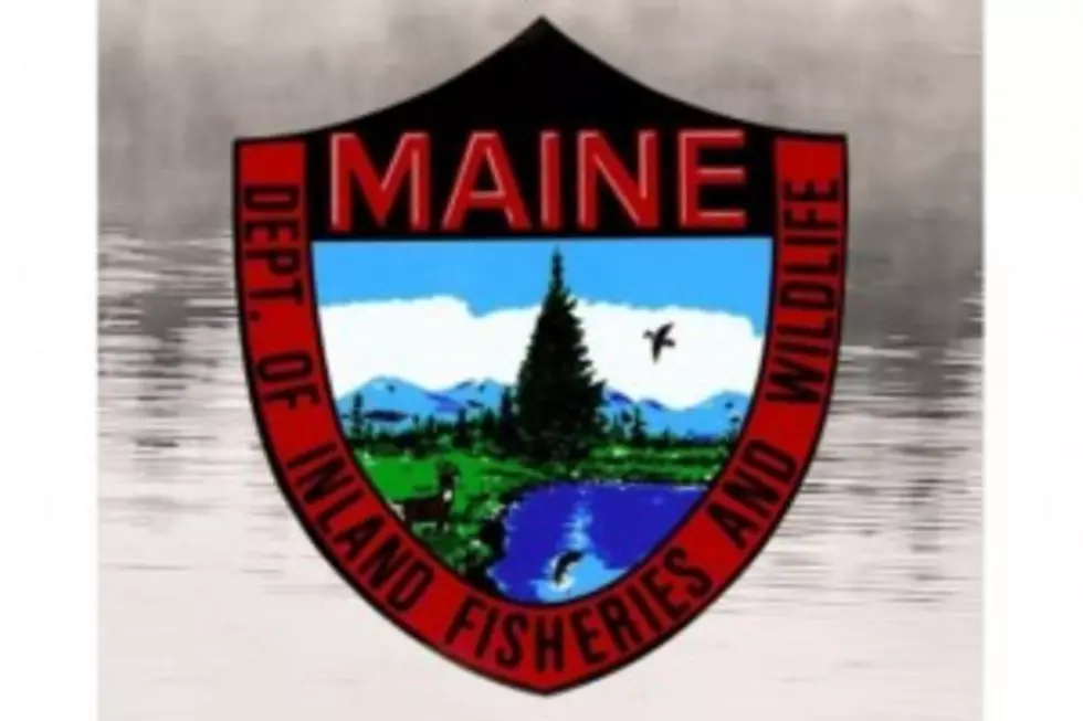 K9s Help Wardens With Two Maine Rescues