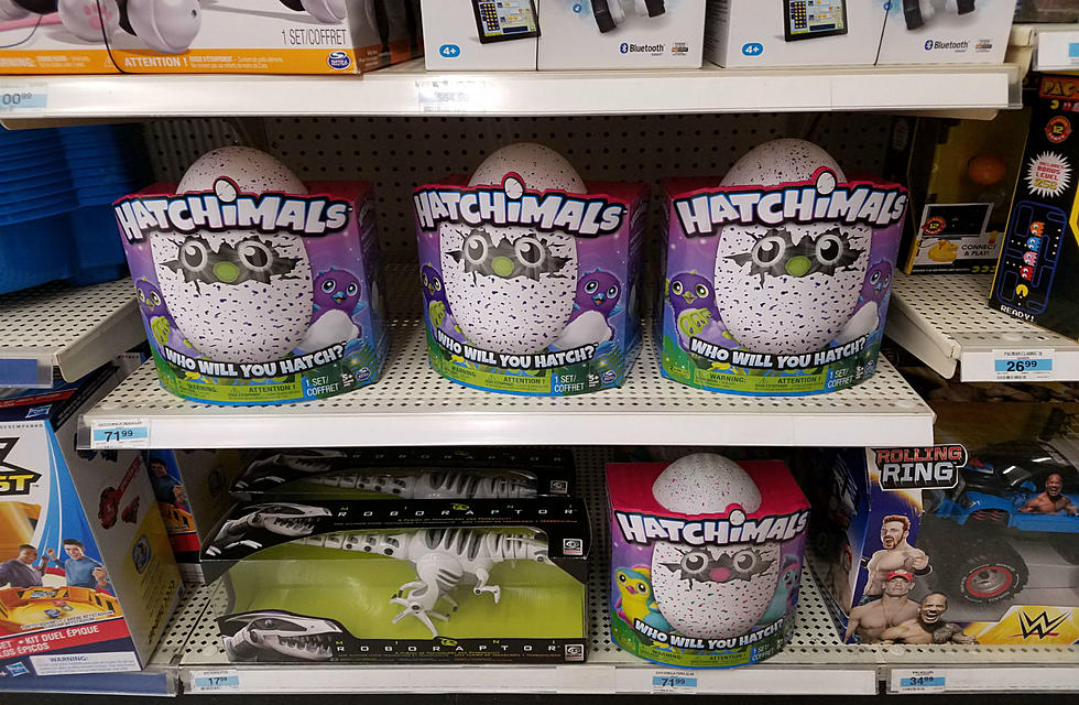 Local Big Box Store Wants HOW MUCH For Hatchimals??