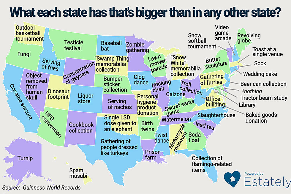 Ours Is Bigger Than Yours: What Each State Has That&#8217;s BIG