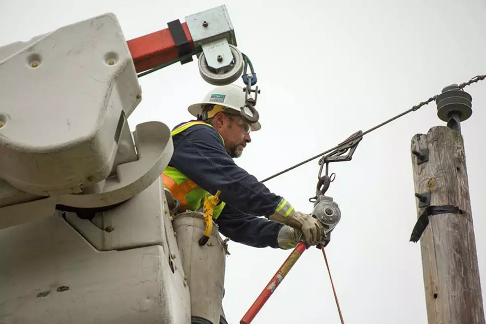 Lose Power Today?  A Maine Critter Was To Blame