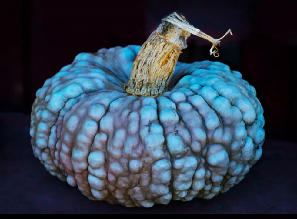 What's The Deal With All The Teal Pumpkins?