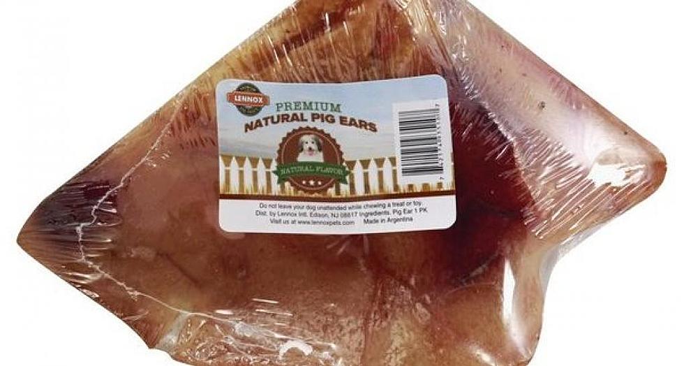 Natural Pig Ears Recalled Possible Salmonella Contamination