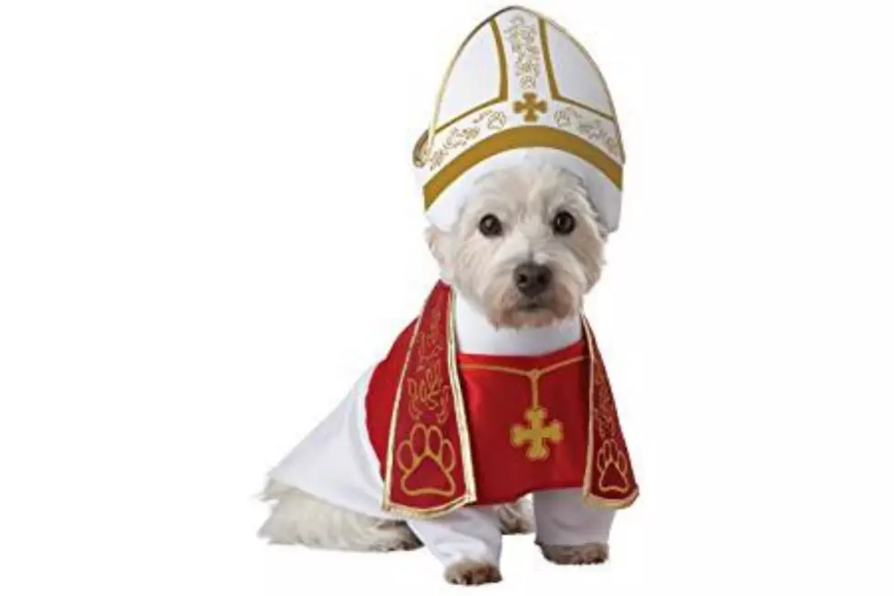 Top Halloween Costumes For Your Pet