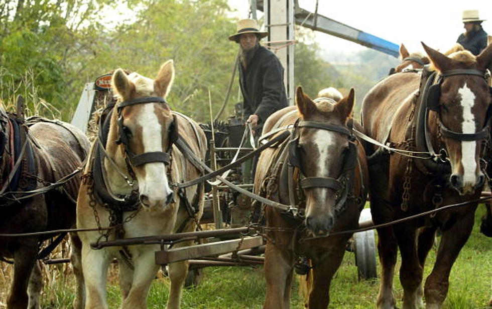 Treat Yourself To This Amazing Amish Experience