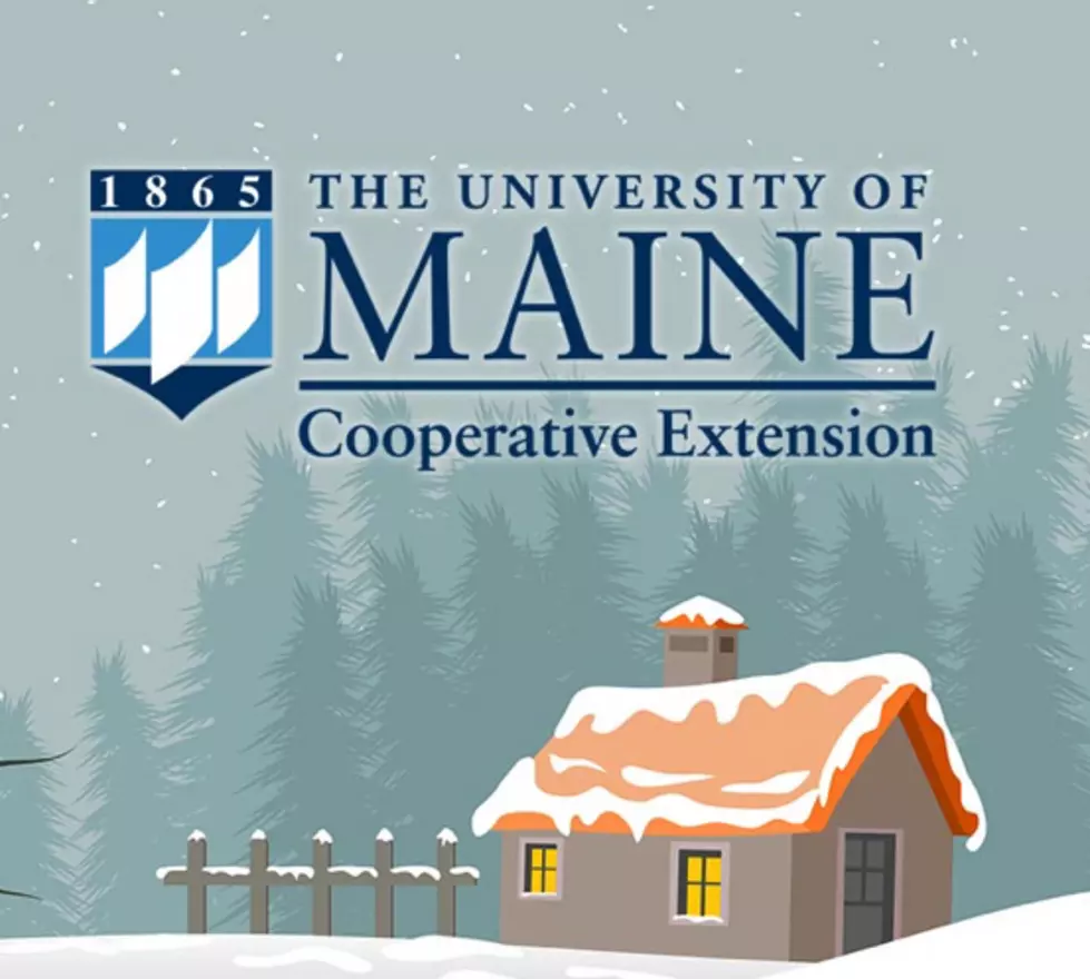 Free Family Outdoor Adventures – U-Maine Cooperative