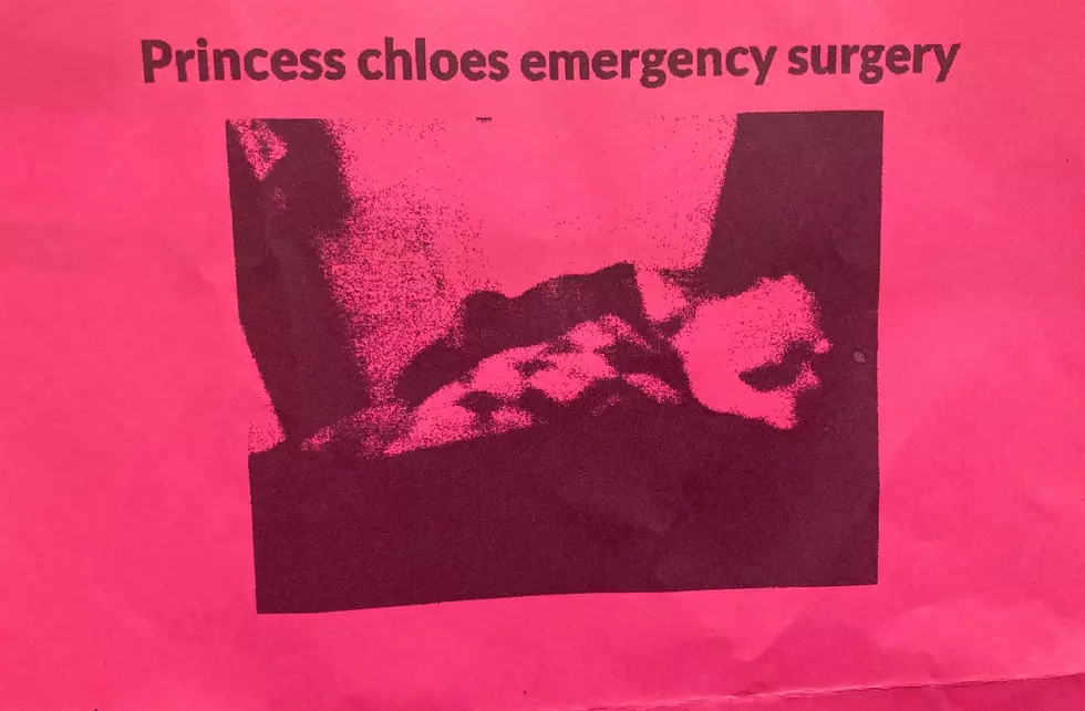 Can You Help Princess Chloe Get The Surgery She Needs?