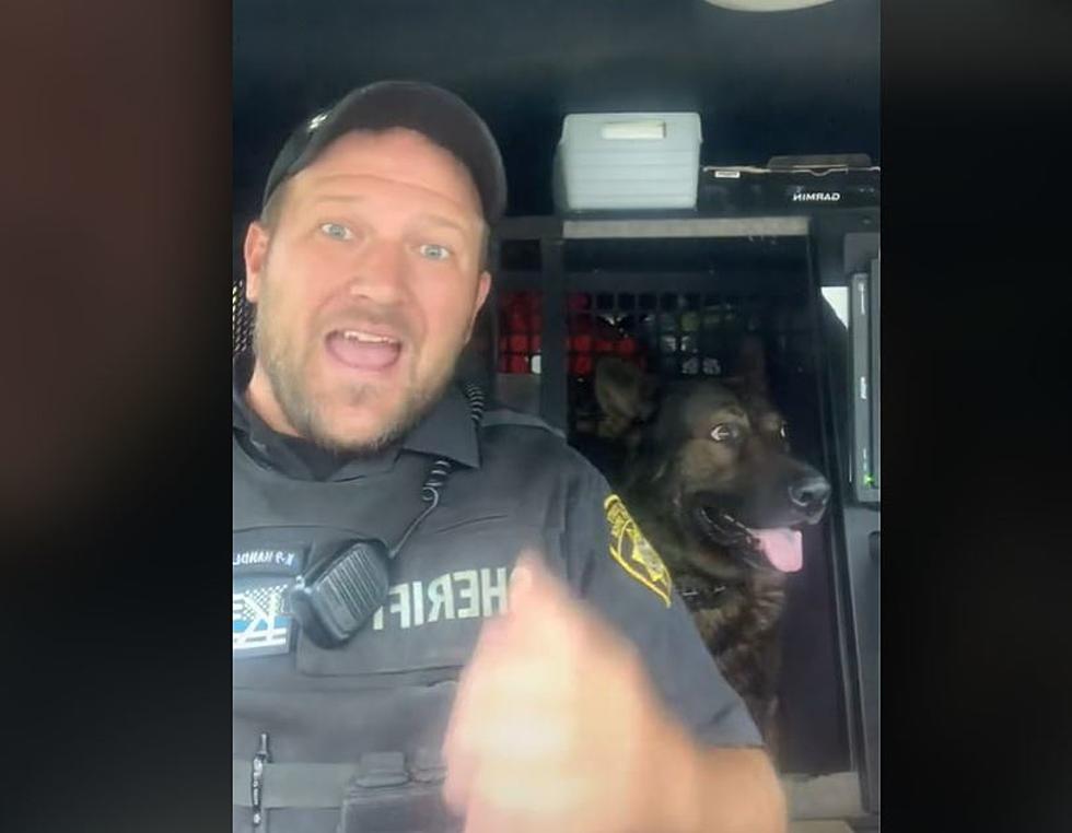 Maine Sheriff Deputy And His K-9 Go Viral On TikTok