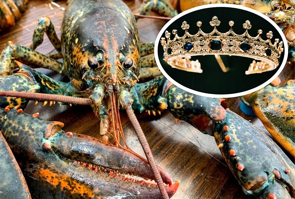 What Does It Take To Be The Maine Lobster Festival Sea Goddess?