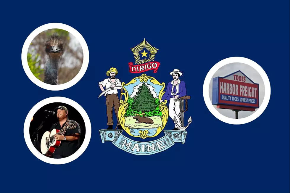 14 Maine News Stories That Fascinated Us In 2022