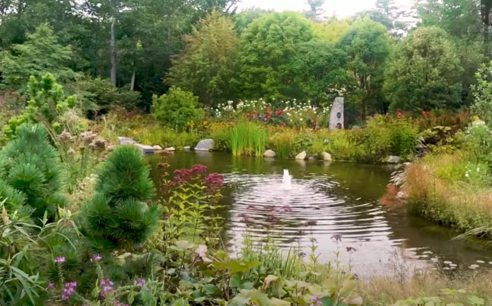 Here’s How Mainers Can Experience the Coastal Maine Botanical Gardens for Free