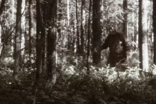 Possible Proof That Bigfoot Exists in Colorado, or Just Another Hoax?
