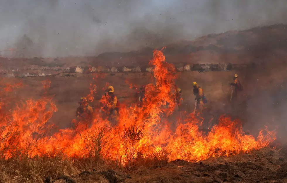 Prescribed Burn Happening at Reservoir Ridge Natural Area Today