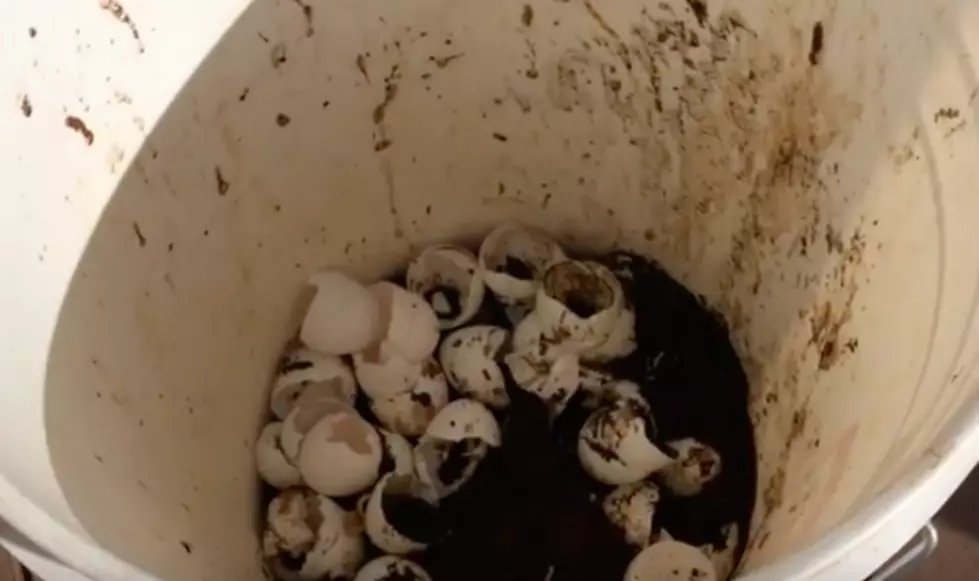 I’m Done with Composting [VIDEO]