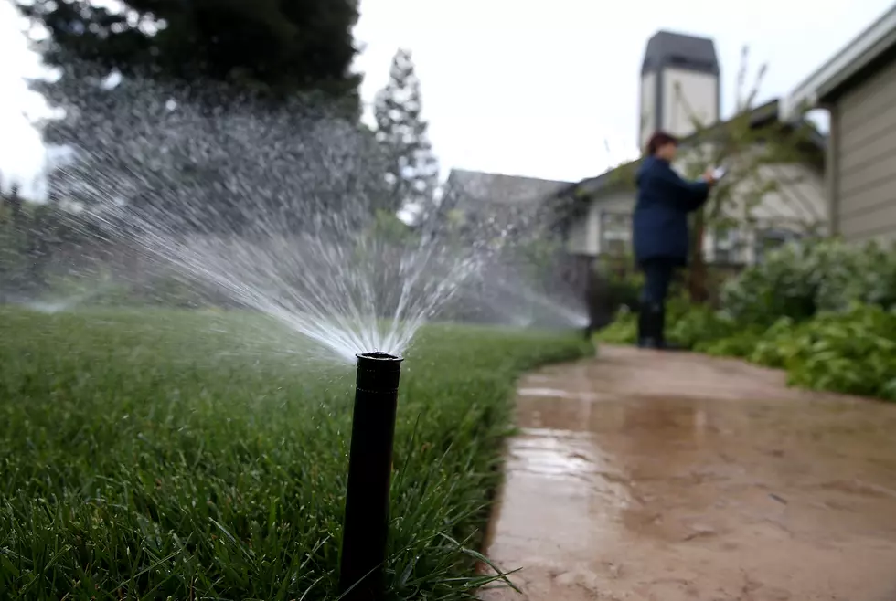 City of Fort Collins Free Sprinkler Audit Could Save You Money