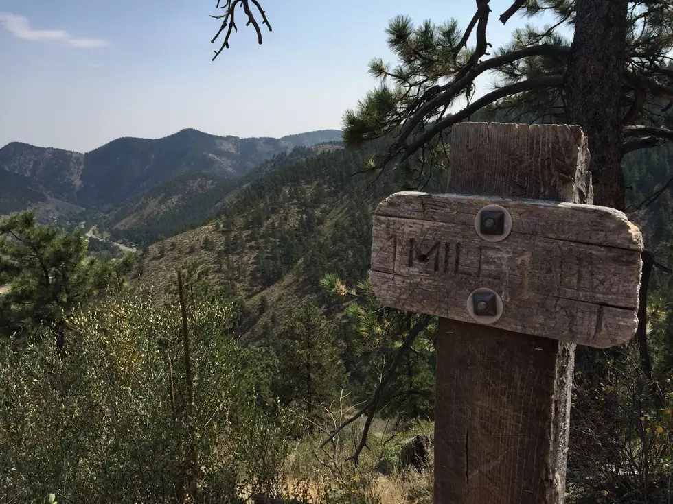 Best Northern Colorado Hikes