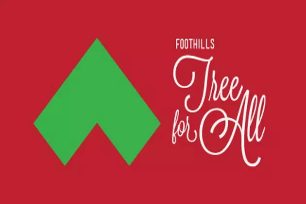 The Annual Foothills Tree For All is Coming Soon