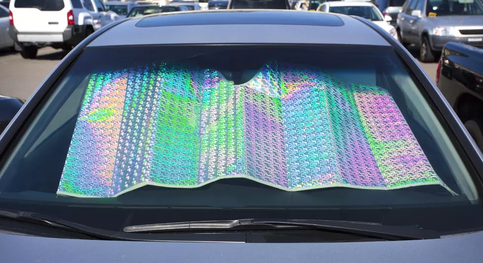 Have Sun Shades for Your Car Gone the Way of the Dinosaurs?