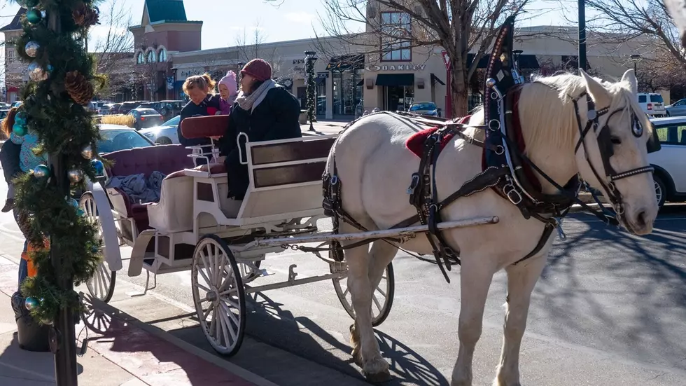 When are the Horse-Drawn Carriage Rides at The Promenade Shops?