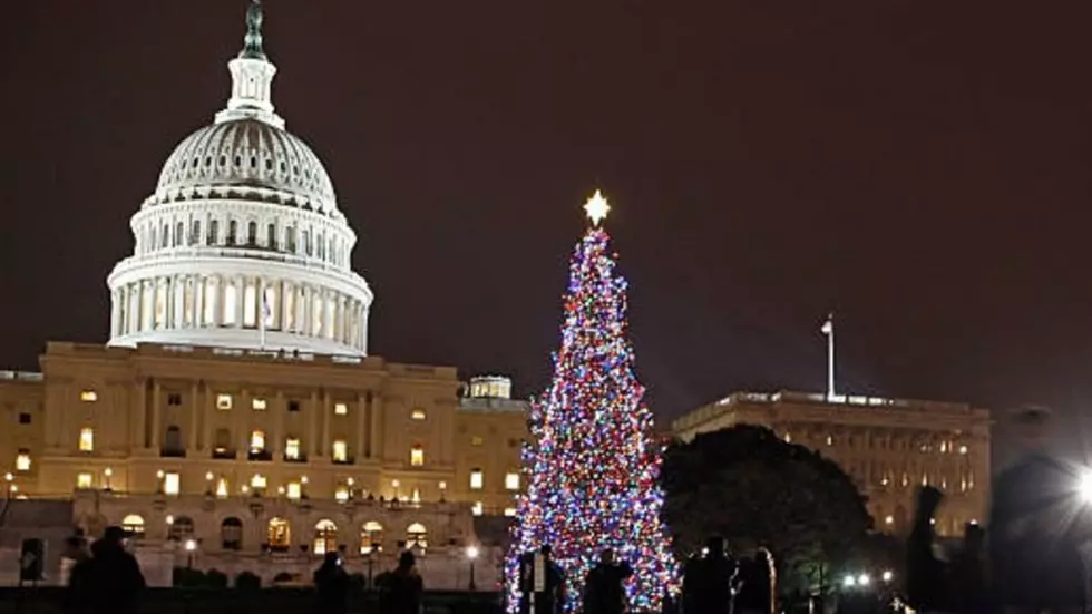 A Colorado Tree Will be the 2020 Capitol Tree in Washington D.C.