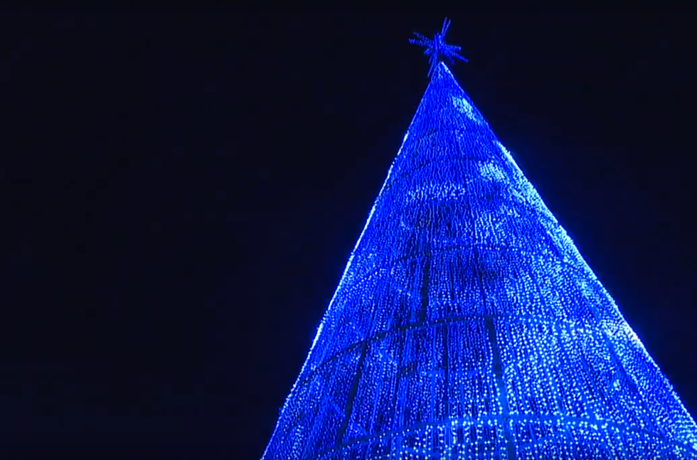Get into the Holiday Spirit, Literally, With Denver’s New Tree