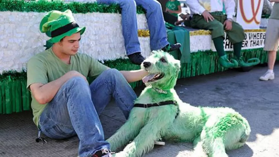 Denver’s St. Patrick’s Day Parade Cancelled Due to Coronavirus Fears