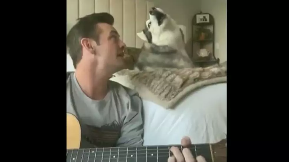 ‘Lean on Me’ Duet with Denver Healthcare Worker and Husky Goes Viral
