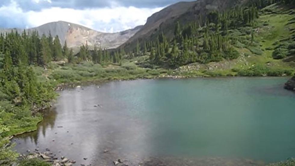 A Colorado Lake Has Been Shut Down Due to an Active Bear