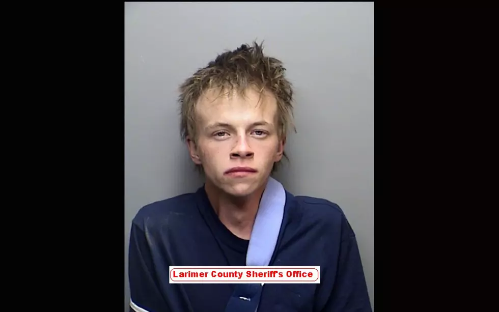 Fort Collins Burglary Suspect Arrested While Trying to Flee