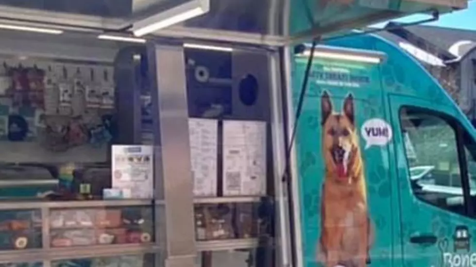 Hot Dog, Colorado Now Has a Food Truck for Fido