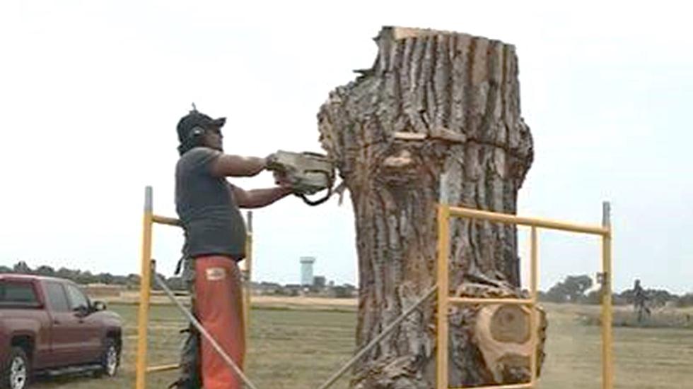 Chainsaw Art Being Created in Frederick for Annual Event