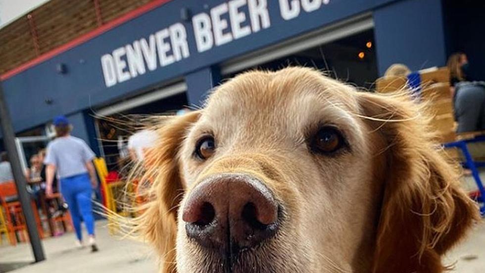 Sorry, Fort Collins, Denver Makes Recent ‘Top 20 Beer Cities’ List