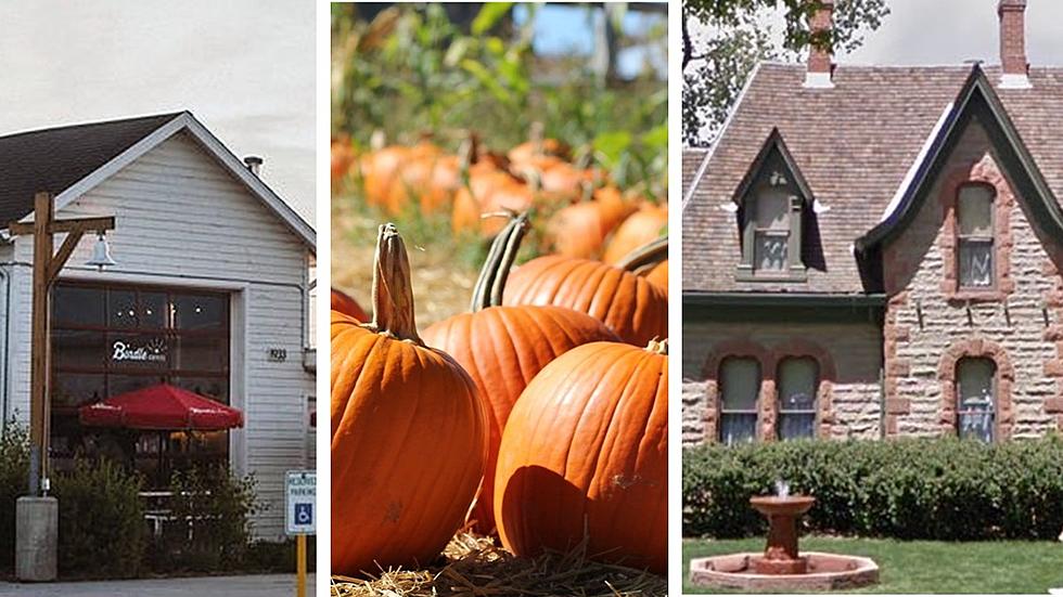 How to Have the Perfect Fort Collins Halloween Weekend