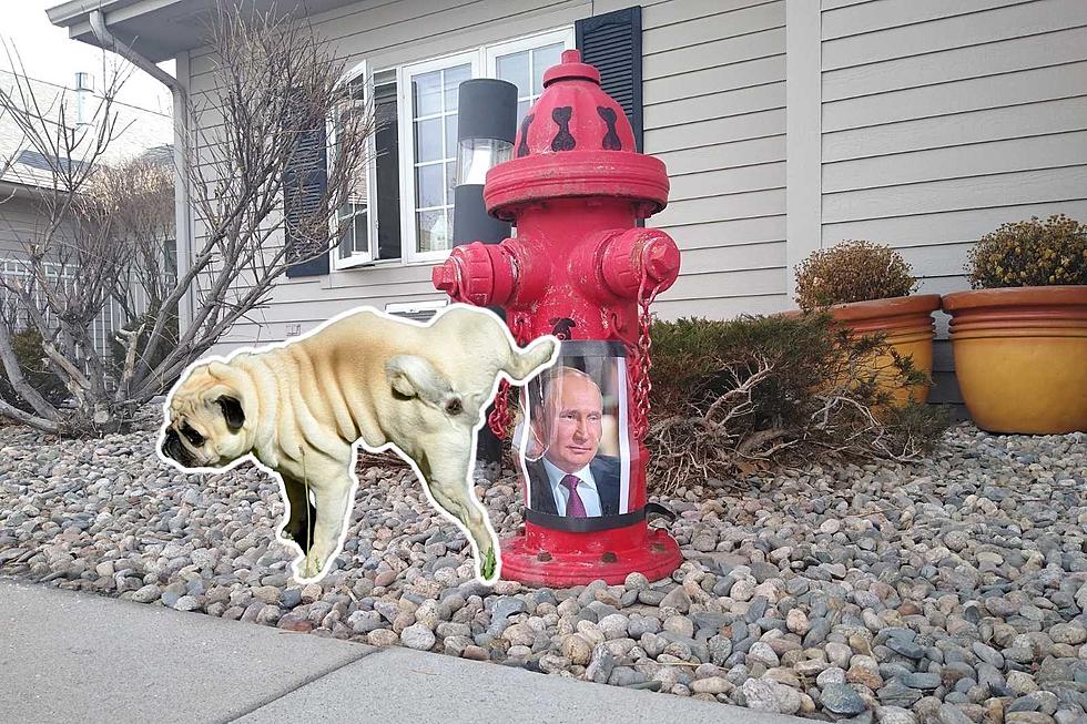 Loveland Vet Clinic Wins the Internet with ‘Pee on Putin’ Hydrant