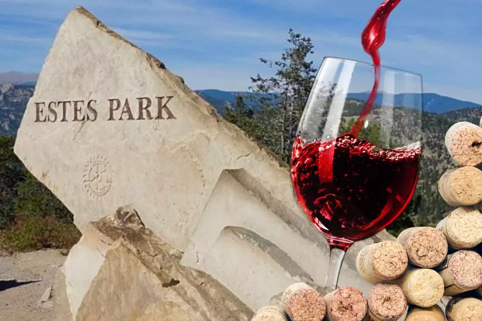 A Mountain Fine Time: Estes Park Wine Festival August 14, 15