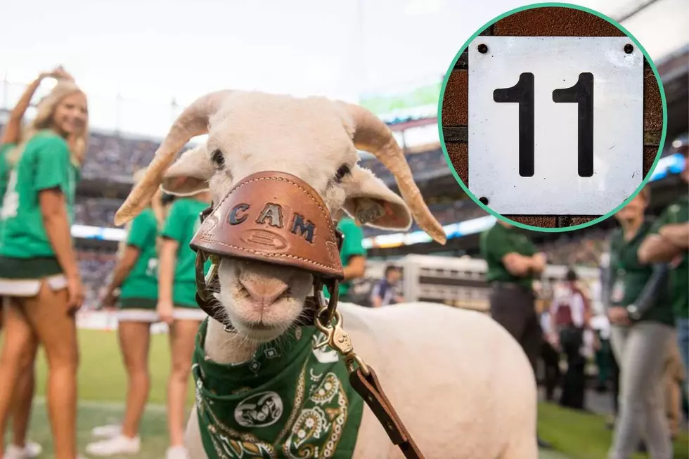 11 Awesome Things About Colorado State University&#8217;s Cam the Ram