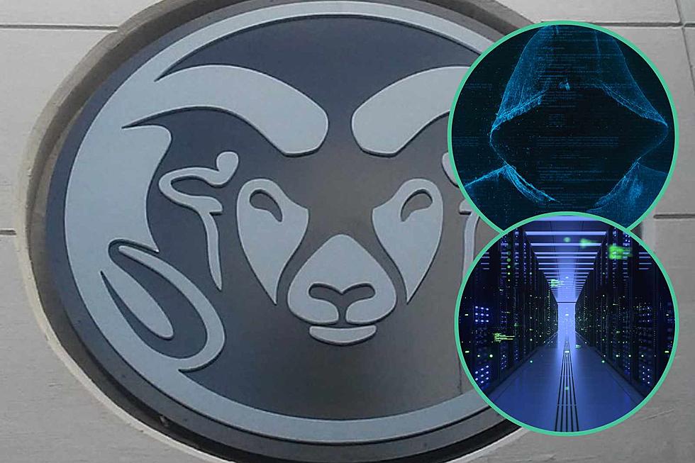 Did Your Data Get Stolen in the 2023 Colorado State University Ransomware Attack?