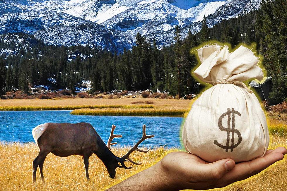 Golden Ticket: Colorado ‘Autumn’ Festival Has Your Chance at $10,000