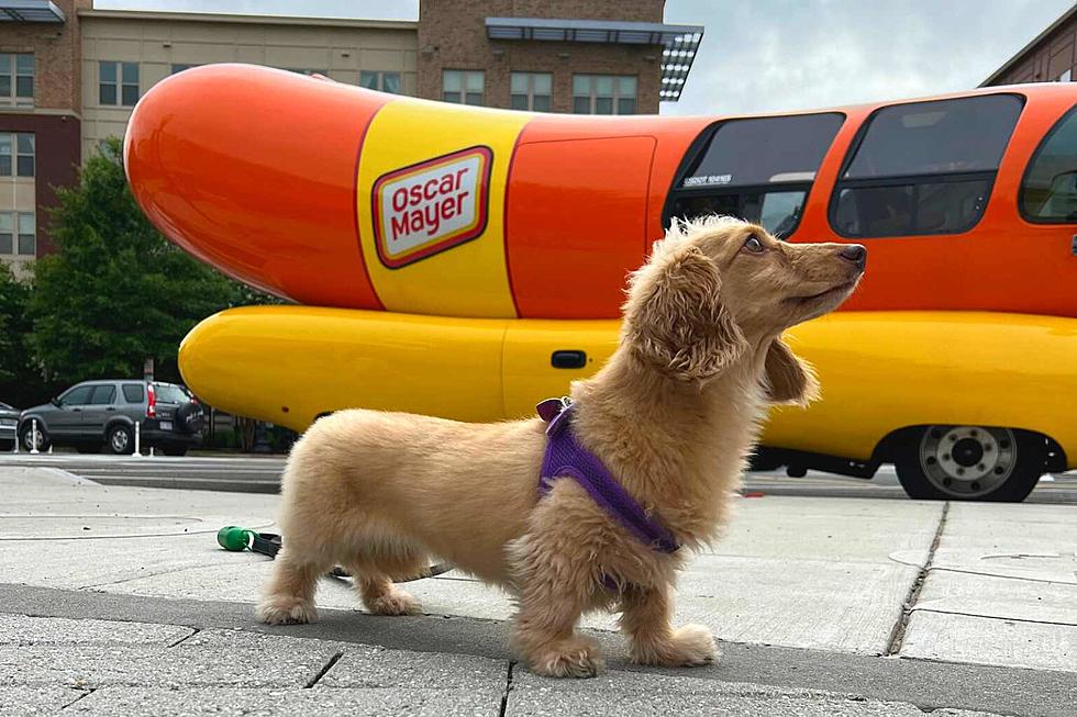Wienermobile is Making 3-Day Stop in Colorado July 27-30