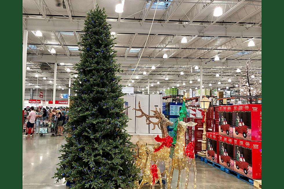 It’s Still Summer! Why is Christmas Already in Colorado Stores?