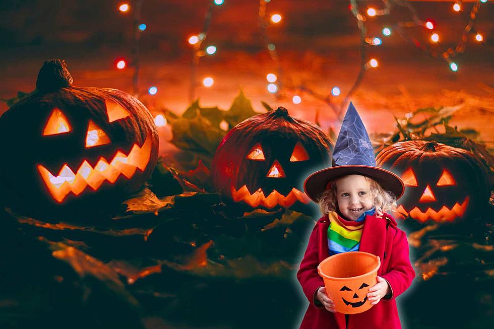 Great Halloween Events You Need to Check Out in Fort Collins, Colorado
