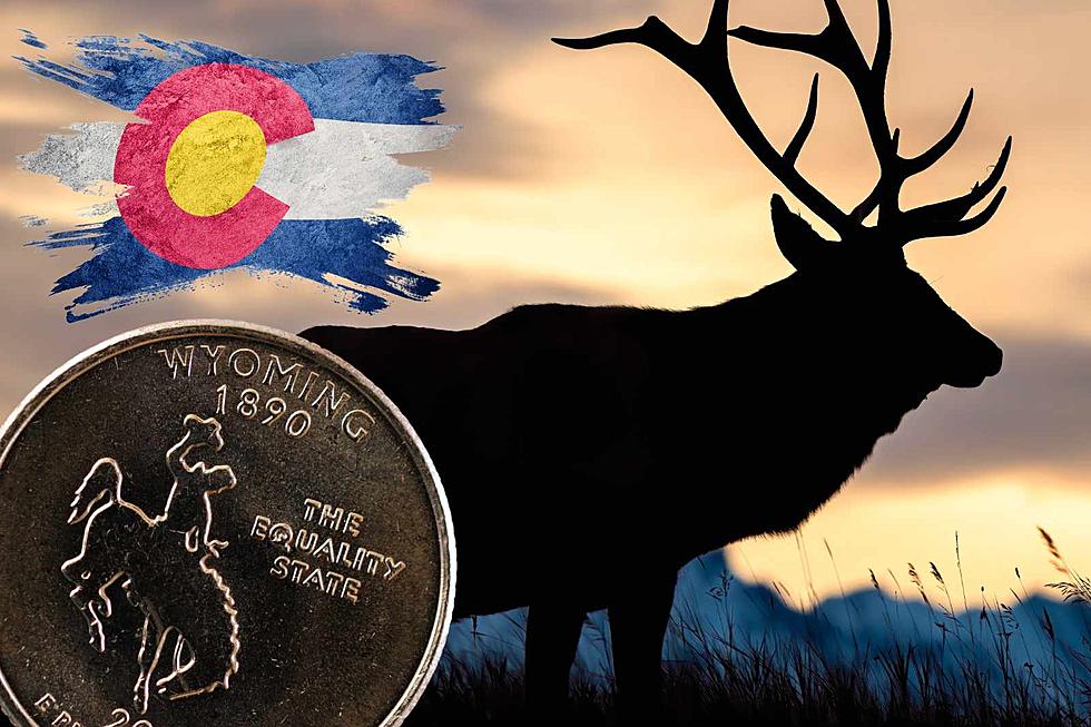 Colorado Has Wyoming to Thank for Its Wonderful Elk Population